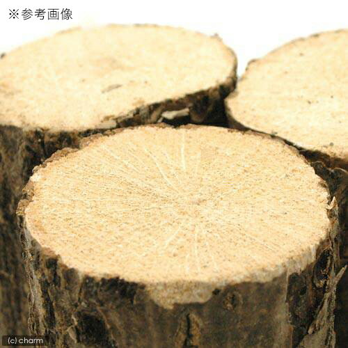 ���ʥ黺���ڡ����ܡ�2�ܡ�������塞���ѡ�����������