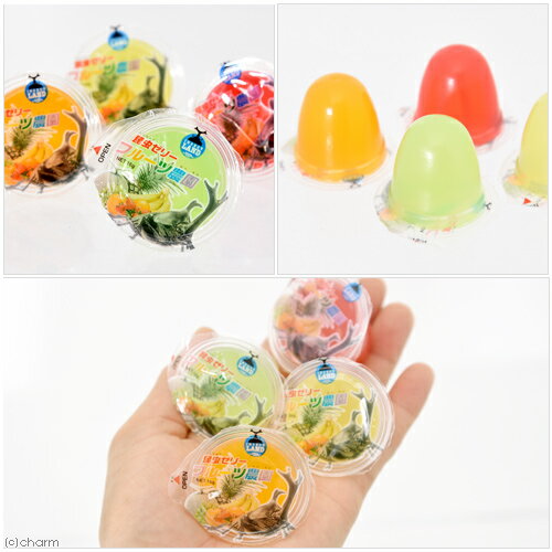 マルカン　昆虫ゼリー　フルーツ農園　20×3袋　昆虫ゼリー　カブトムシ　クワガタ...