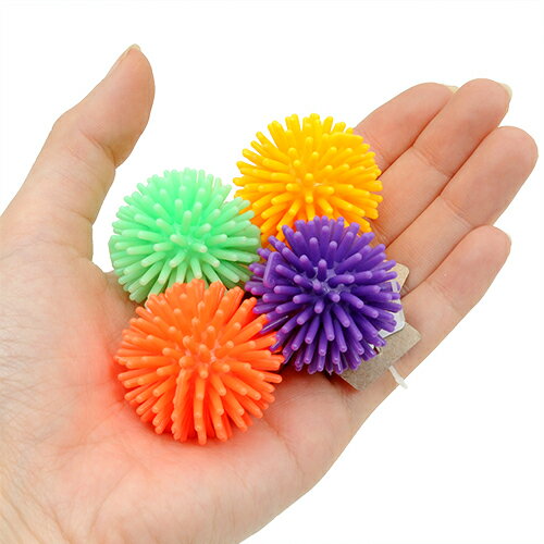 �ץ�åġ��ե������ܡ��롡ǭ�Ѥ�����㡡�����ޤ���������������