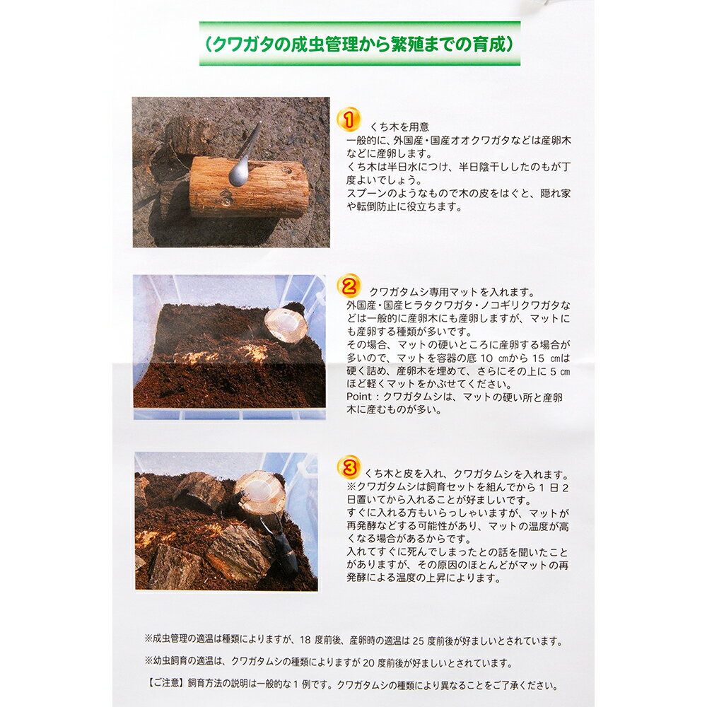 ���塞��������顡5�����åȡ�����������