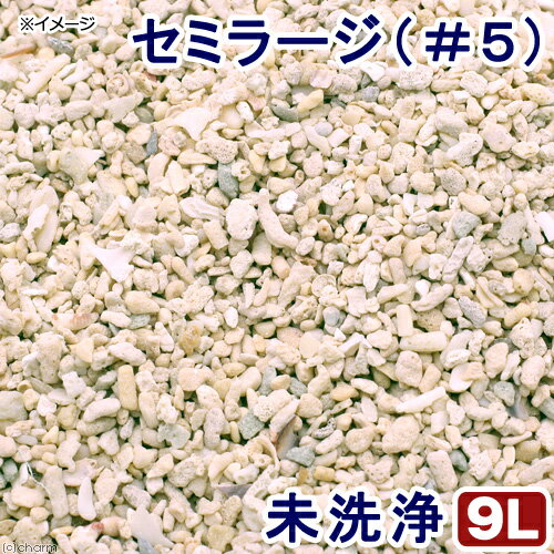 未洗浄 サンゴ砂 セミラージ（#5） 9L 海水水槽用底砂