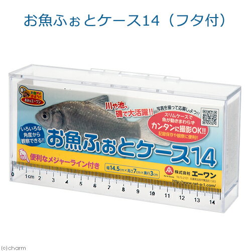 お魚ふぉとケース14（フタ付） 観察 撮影 ケース 昆虫 魚