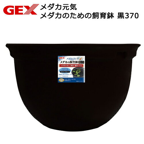 GEX メダカ元気 メダカのための飼育鉢 黒370