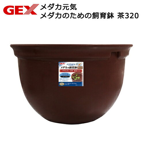 GEX メダカ元気 メダカのための飼育鉢 茶320