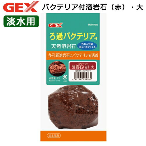 アウトレット品　GEX　バクテリア付溶岩石（赤）・大1個入　訳あり　関東当日便