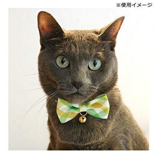 猫　首輪　キュートチェック　S　イエロー　アモワークス　関東当日便