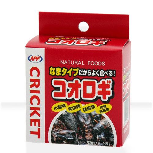 NPF　コオロギ（缶入り）　40g　両生類・爬虫類　ハリネズミ　フード　餌　エサ　缶詰【HLS_DU】　関東当日便