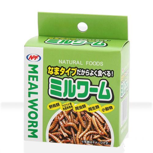 NPF　ミルワーム　35g×24缶　両生類 爬虫類　ハリネズミ　フード　餌　エサ　缶詰　沖縄別途送料　関東当日便