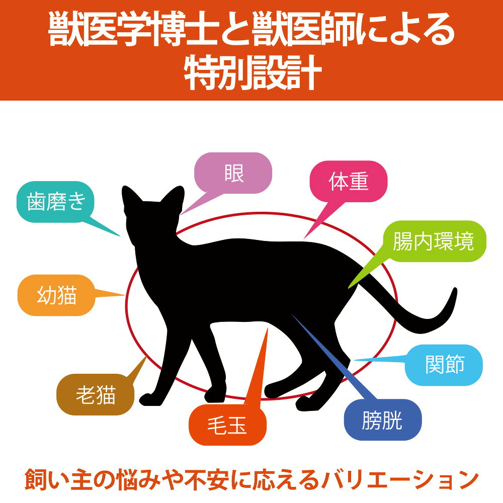猫　サプリ　ドクターヴォイス　猫にやさしいトリーツ　老猫の栄養サポート　20g　関東当日便 chanet-10417298 charm 楽天市場店 サンプル画像2