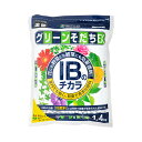 花ごころ IBのチカラ グリーンそだちEX 1．4kg【HLS_DU】 関東当日便