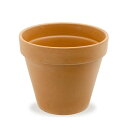 多肉植物 デローマ スタンダードポット 31cm 洋ラン サボテン テラコッタ 寄せ植え お一人様5点限り 関東当日便