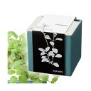 アウトレット品 ハイポニカ 心知菜園 cocochi saien Teal Blue オレガノ 水耕栽培キット キッチン菜園 訳あり 関東当日便