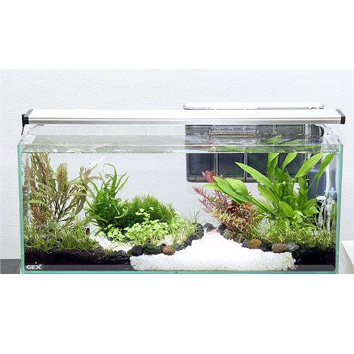 ジェックス(GEX)の飼育用品一覧(45cm/60cm水槽用) | RIUM