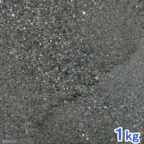 渓流砂 No.1 （1kg） 微粒 底砂 底床