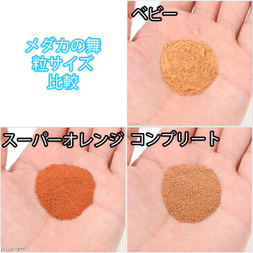 (めだか)楊貴妃メダカ(6匹)キョーリン メダカの舞 育成セット メダカ えさ 本州四国限定