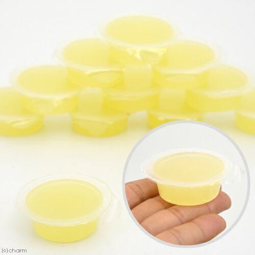 �ե����󡡺���꡼���ץ�ߥ��ࡡǻ�̥ץ��ƥ��󡡥����������꡼��S��16g��50�ġˡ�����������