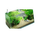 (水草)コリドラス用水草セット 60cm水槽用 風山石2個付 本州四国限定