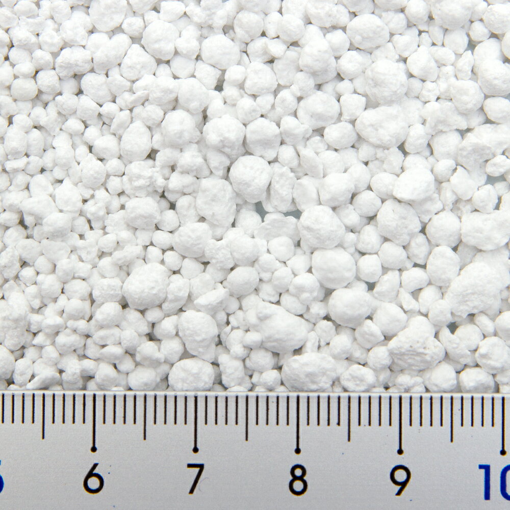 �ӥ��ȡ��פθǷ������ǡ�20ml������������