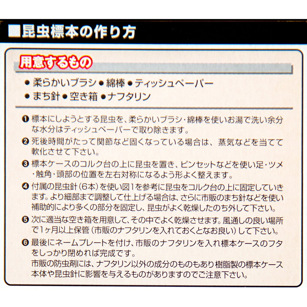 フジコン 標本コレクターズケース S 昆虫 標...の紹介画像3