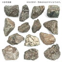 形状お任せ　風山石　Sサイズ（約8～12cm）　3個　アクアリウム　レイアウト素材　お一人様10点限り【HLS_DU】　関東当日便 2