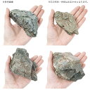 形状お任せ　風山石　Sサイズ（約8～12cm）　3個　アクアリウム　レイアウト素材　お一人様10点限り【HLS_DU】　関東当日便 3