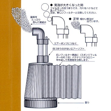 アクア工房 本体 バイオシャーレ アクスター 水槽用水中フィルター・投げ込み式フィルター 関東当日便