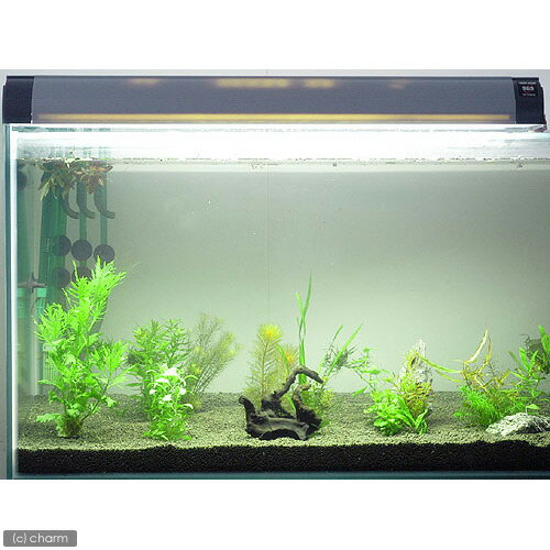 コトブキ　ツインライト　S900　グレー（2灯式蛍光灯）（蛍光管別送）（保証印）