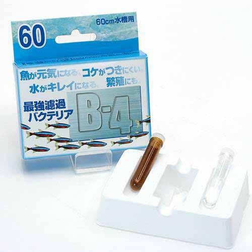 B-4 60（バクテリア剤） バクテリア 熱帯魚 観賞魚