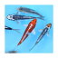 (錦鯉)錦鯉ミックス Mサイズ 14~18cm(3匹) 3,780円