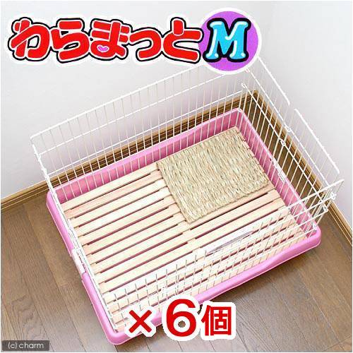 スドー　わらまっと　M×6　関東当日便