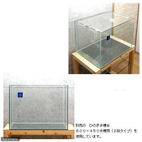 コトブキ工芸　レグラスフラット　F　600L（60×45×45cm）　60cm水槽（単体）　180サイズ　沖縄別途送料【HLS_DU】　関東当日便