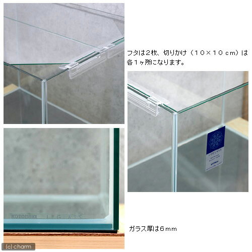 コトブキ工芸　レグラスフラット　F　600L（60×45×45cm）　60cm水槽（単体）　180サイズ　沖縄別途送料【HLS_DU】　関東当日便