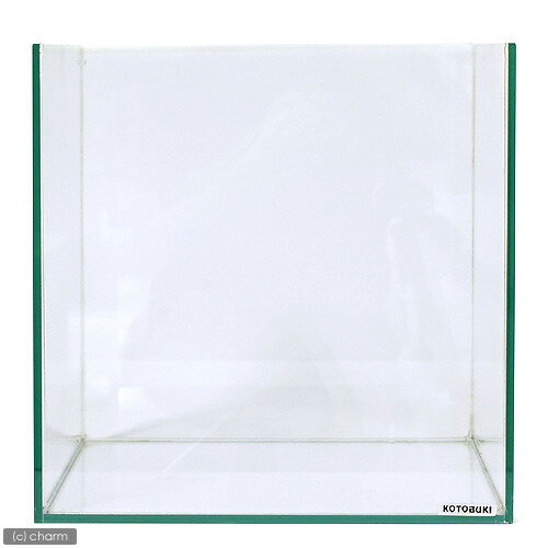 コトブキ工芸 kotobuki クリスタルキューブ 200（20×20×20cm） レグラス 20cm水槽の画像3枚目