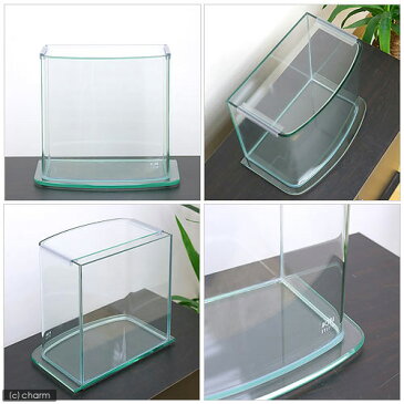 アクアシステム ルノアール 250(25×15×26cm) 25cm水槽(単体) お一人様2点限り 関東当日便