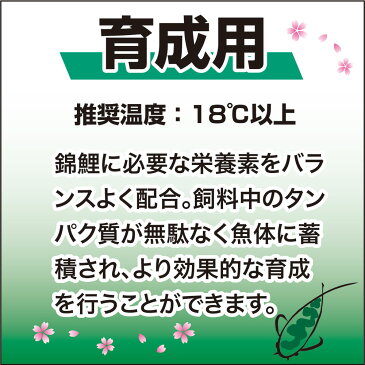 緑　キョーリン　咲ひかり金魚　育成用　沈下　200g　金魚のえさ　関東当日便