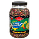ビバリア　レップカル　リクガメフード　1．36kg　草食性リクガメの毎日の食事に！　関東当日便