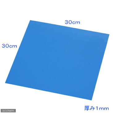 30cmキューブ水槽用 丈夫な塩ビ製バックスクリーン 30×30cm 青 スカイブルー 関東当日便
