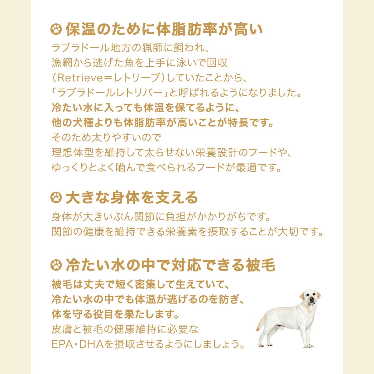 ロイヤルカナン ラブラドールレトリバー ステア...の紹介画像3