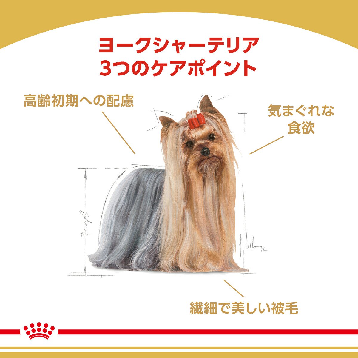 ロイヤルカナン　ヨークシャーテリア　成犬・高齢犬用　800g　ジップ付　お一人様5...