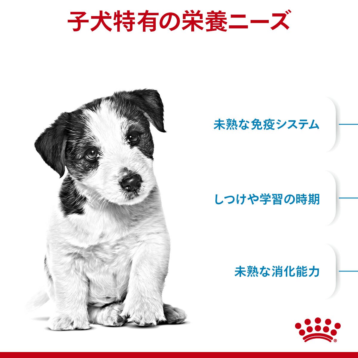 ロイヤルカナン　ミニ　パピー　子犬用　2kg　3182550793001　ジップ付　小型犬　...