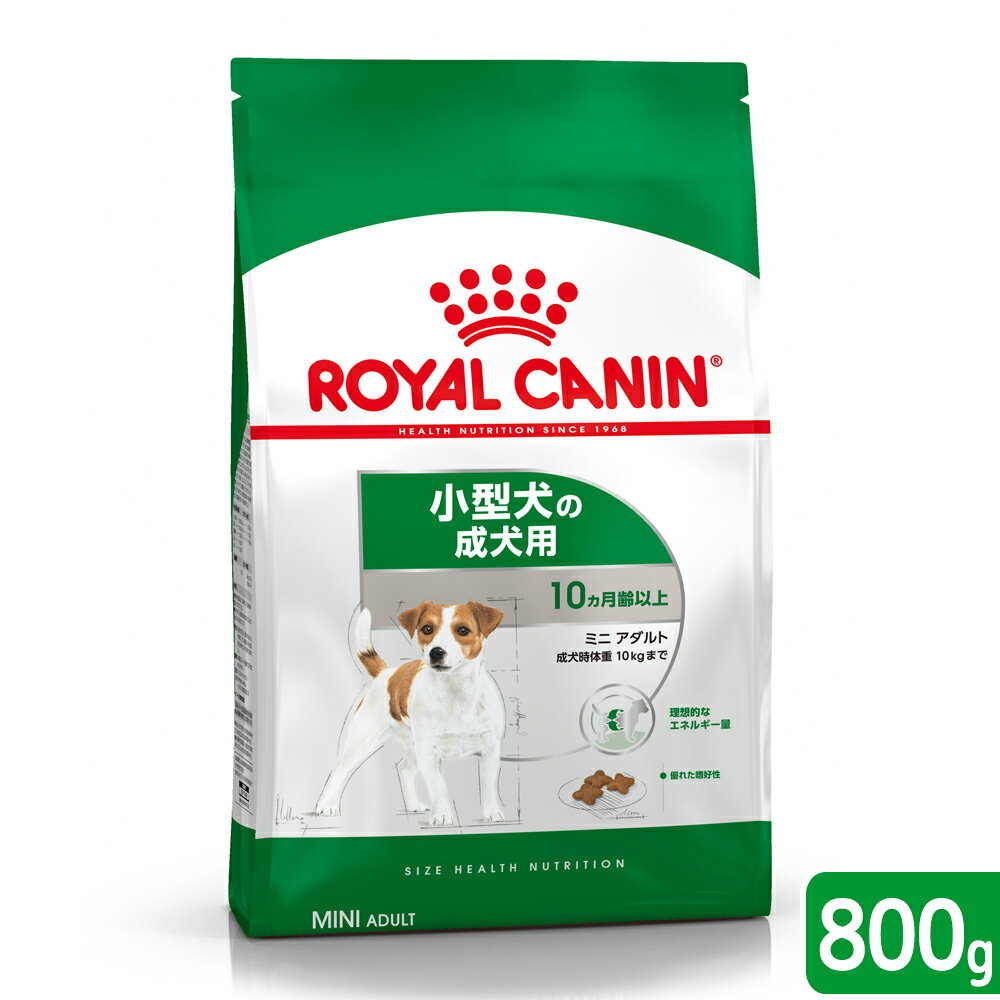 ロイヤルカナン　ミニ　アダルト　成犬用　800g　3182550793124　ジップ付　お一人様5点限り　関東当日便