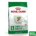 ロイヤルカナン　ミニ　エイジング　12＋　高齢犬用　800g　3182550793353　ジップ付　お一人様5点限り　関東当日便