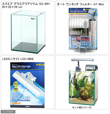 お1人様1点限り テトラ SG−20HLS LEDライト付観賞魚飼育水槽セット 初心者 関東当日便