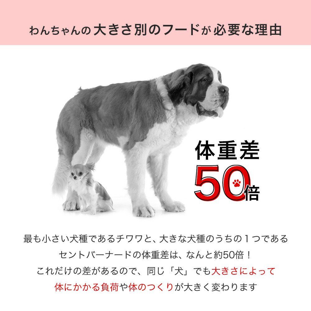 ロイヤルカナン　エクストラスモール　アダルト　3kg　成犬用　3182550793735　ジップ付　超小型犬　お一人様5点限り　関東当日便