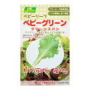 賞味期限：2024年4月30日　ベビーリーフタネ　ベビーグリーン　グリーンリーフレタス　家庭菜園　訳あり【HLS_DU】　関東当日便
