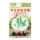 賞味期限：2024年5月31日　ベビーリーフタネ　サラダみず菜　早生千筋京水菜　家庭菜園　訳あり【HLS_DU】　関東当日便