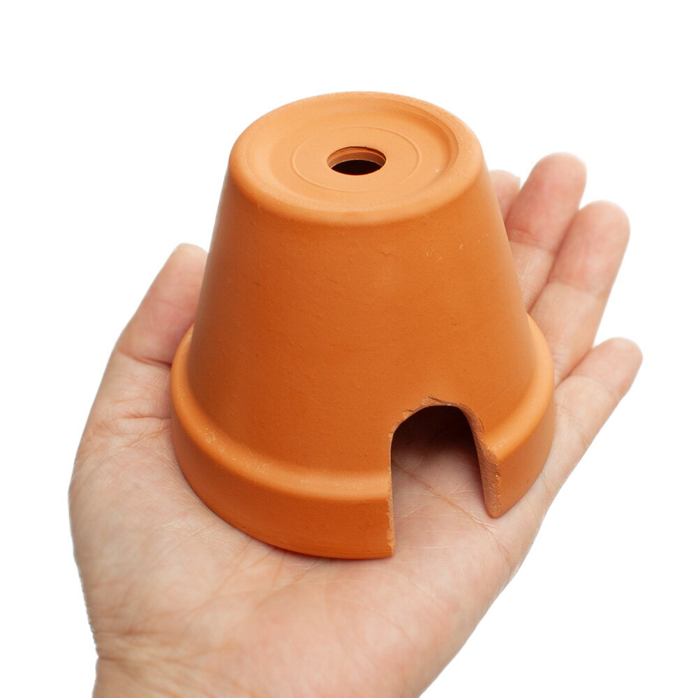 �ƥ饳�å������륿���ɡ��ࡡM��1�ġ������륿�����ǾƤ�������������