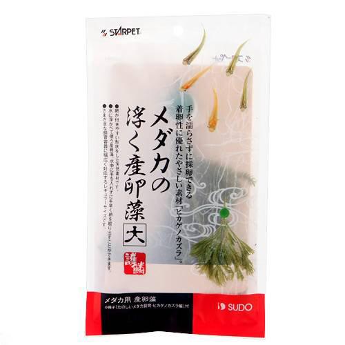 スドー メダカの浮く産卵藻 大 関東当日便