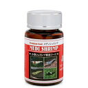 アウトレット品 日本動物薬品 ニチドウ プレミアムフード メディシュリンプ 沈下性 30g ビーシュリンプ 餌 エサ 訳あり 関東当日便