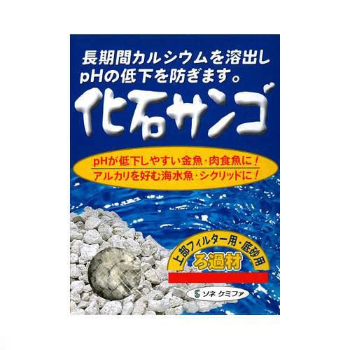 ソネケミファ 化石サンゴ 500g（ネット入）